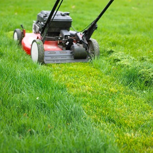 I was about to mow my grass